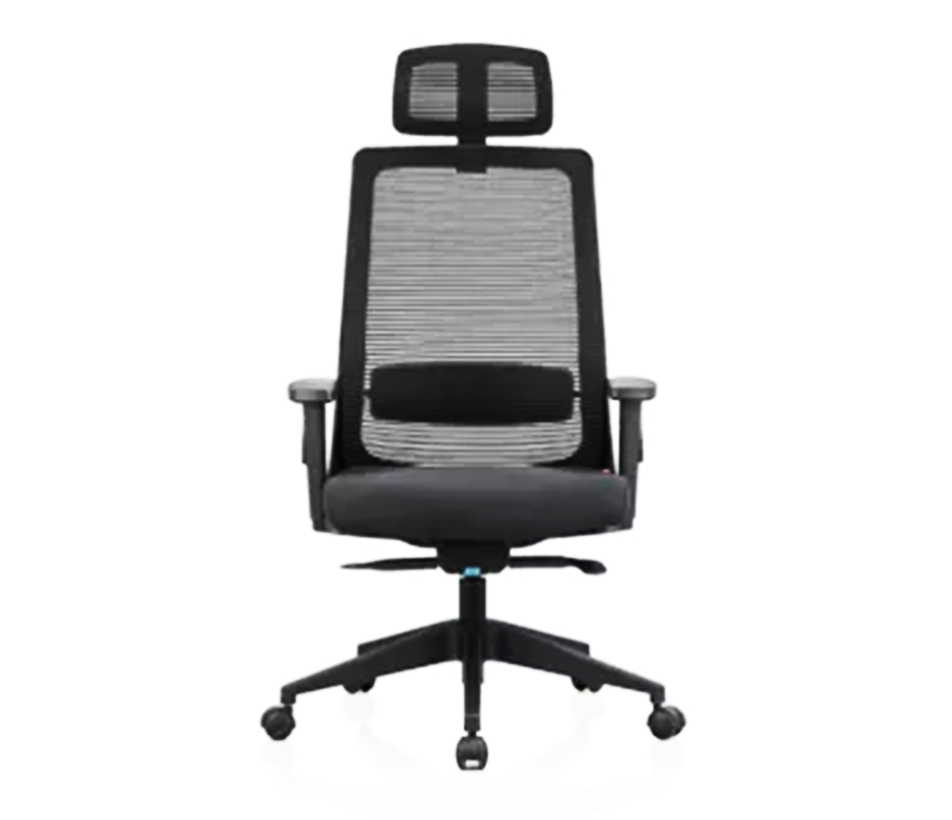 Plastic Frame Study Chair